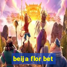 beija flor bet